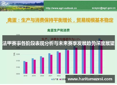 法甲赛事各阶段表现分析与未来赛季发展趋势深度展望