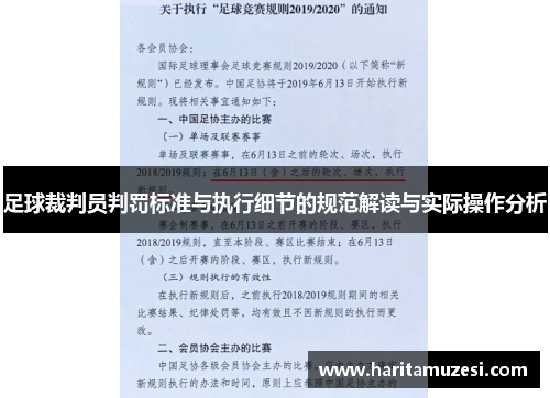 足球裁判员判罚标准与执行细节的规范解读与实际操作分析