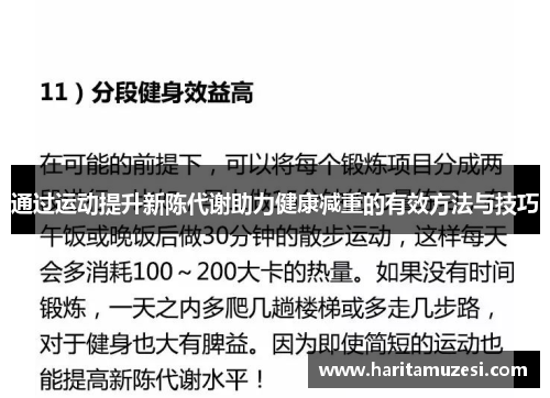 通过运动提升新陈代谢助力健康减重的有效方法与技巧