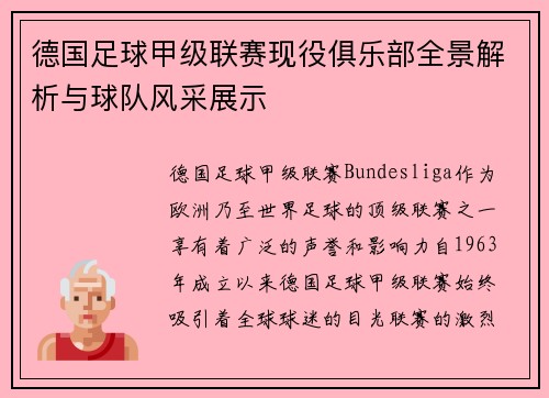 德国足球甲级联赛现役俱乐部全景解析与球队风采展示
