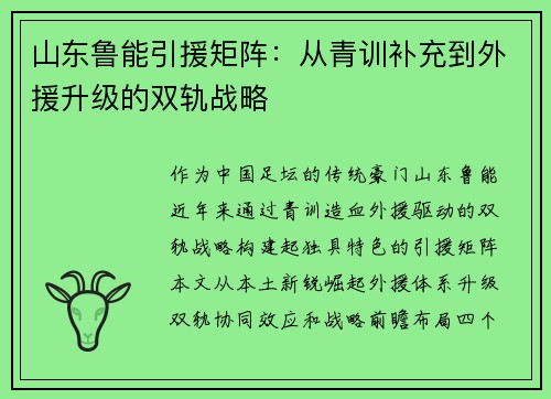 山东鲁能引援矩阵：从青训补充到外援升级的双轨战略