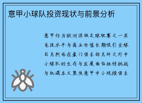意甲小球队投资现状与前景分析