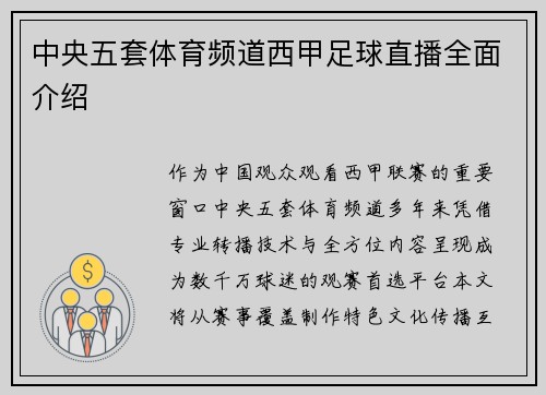 中央五套体育频道西甲足球直播全面介绍