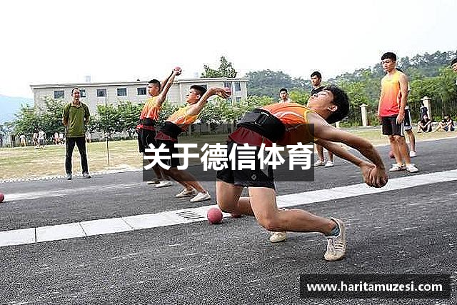 关于德信体育